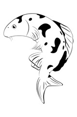 Koi fish in black and white