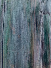 old wood texture