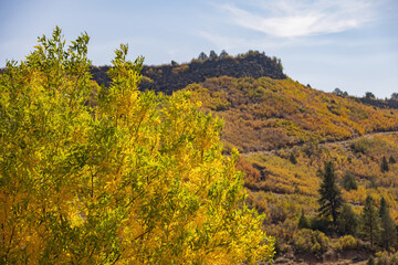 Fototapeta premium Beautiful sunny landscape around Bryce Zion Campground
