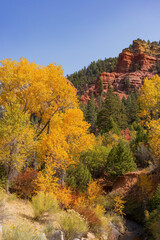 Fototapeta premium Sunny view of beautiful fall color around Parowan Canyon
