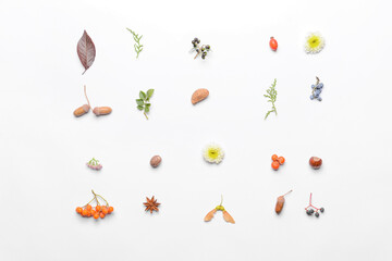 Beautiful autumn composition on white background