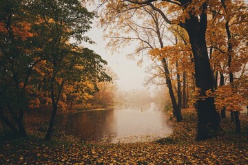Foggy Autumn Morning in Warsaw 