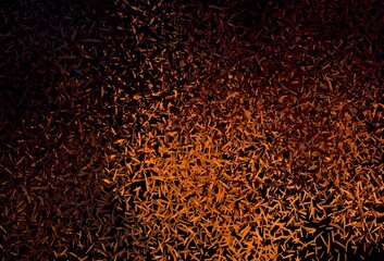 Dark Orange vector background with straight lines.