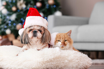 Fototapeta na wymiar Cute cat and dog in Santa hats at home on Christmas eve