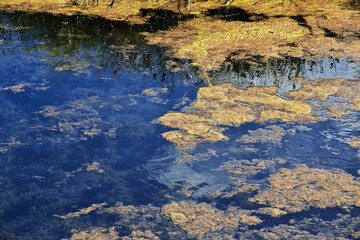 Laguna Nimez Reserva in El Calafate, Patagonia, Argentina