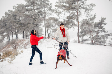 Young couple in a winter park. Man with a red sharf. Lady in a red jacket