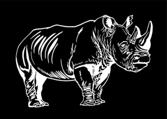Vector rhinoceros on black background , engraved illustration