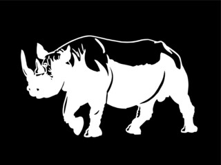 Obraz na płótnie Canvas Vector rhinoceros on black background , engraved illustration