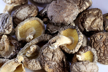 Lots of dried shiitake mushrooms