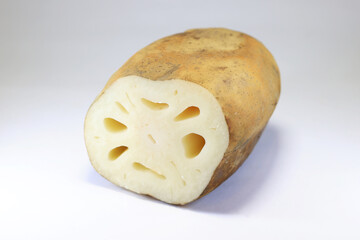 Cross section of lotus root