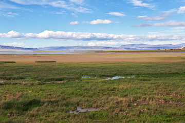 Fototapeta premium Lago argentino in El Calafate, Patagonia, Argentina