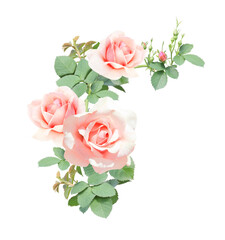 Angle border with branch of rose with pink flowers