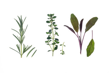 fresh rosemary, thyme and sage leaves isolated on white background