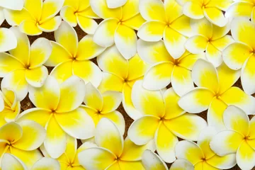 Foto auf Acrylglas Plumeria Blume Textur Hintergrund © 7G Studio