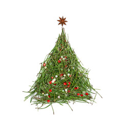Christmas Tree Shape Made of Fir Needles Isolated