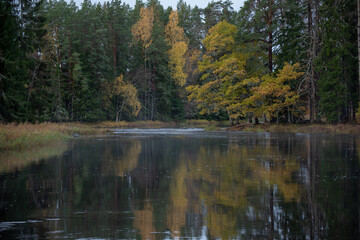River landscape in autumn. Farnebofjarden national park in Sweden
