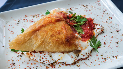 Borek served with sauce,yogurt and parsley