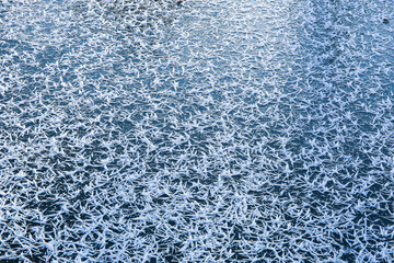 background texture of cold blue ice