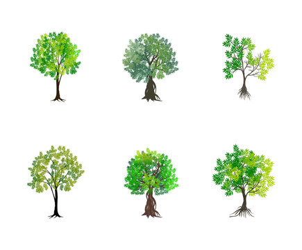 tree vector collections for design elements