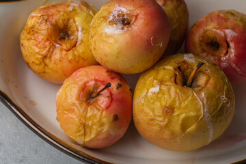 Oven baked apples in white dish