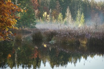 Early Morning Mists in October