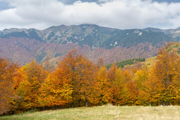 Fototapeta na wymiar Red Mountain scenery in Cheia, Prahova, Romania in the Carpathian Ciucas Mountains