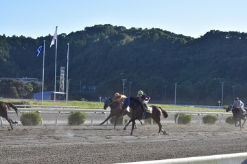 高知競馬