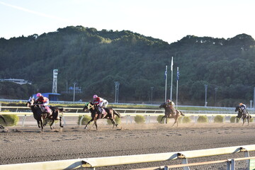 高知競馬