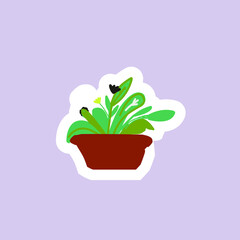 Cactus in flower pots. Flat illustration style