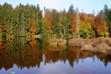 Autumnal Reflections in the Lake