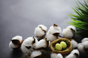 Bird's nest with eggs. Willow branches and first greens. Easter background. Palm Sunday. Christian holiday. Spring background.