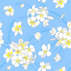 Plumeria flowers on a blue background, seamless vector pattern