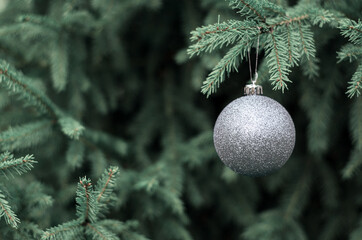 a shiny silver ball hangs on the Christmas tree