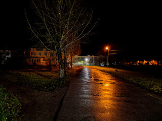 night illumination of empty streets in the city in the autumn season after rain