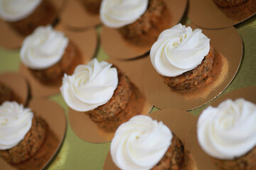 Beautiful festive cake biscuit with different creams