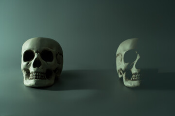 Human dead skull head. Halloween party background