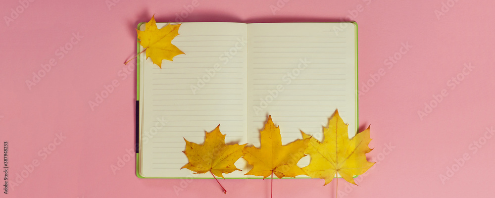 Wall mural bright autumn maple leaves with blank notebook on pink paper background. seasonal fall composition, 