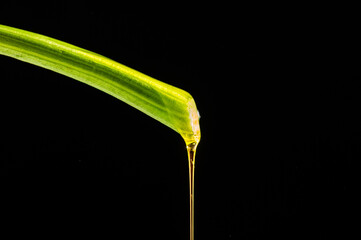 cascata d'olio