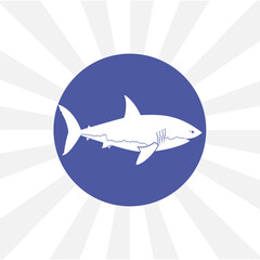 shark isolated vector icon. design element