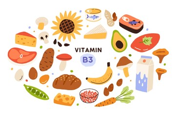 Collection of vitamin B3 sources. Food containing niacin. Banana, mushrooms, nuts, avocado, dairy products, etc. Dietetic nutrition, organic natural products. Flat vector cartoon illustration