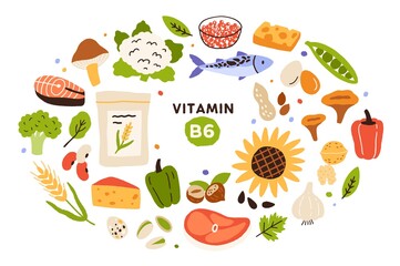Collection of vitamin B6 food, sources. Nuts, mushrooms, fish and meat, vegetables, eggs, cereals. Dietetic products, organic nutrition. Flat vector cartoon illustration isolated on white background