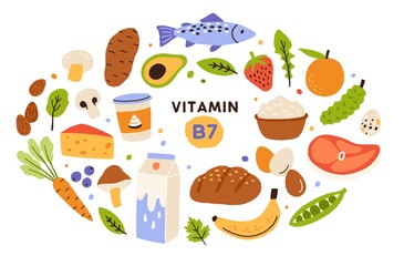 Collection of vitamin B7 source. Food containing biotin. Fish and meat, dairy products, fruits and vegetables. Dietetic organic nutrition. Flat vector cartoon illustration isolated on white background