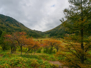 Autumn leaves in the mountains (Tochigi, Japan)