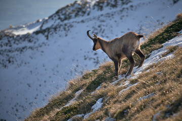 Autunno al Gran Sasso - campo imperatore