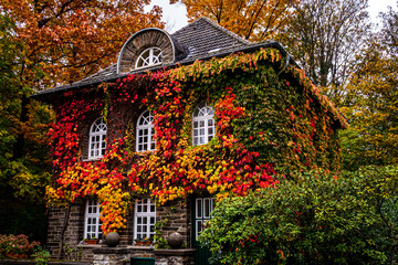 buntes Herbstlaub am Haus mit Fenster