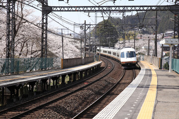 Fototapeta premium 室生口大野駅の近鉄特急