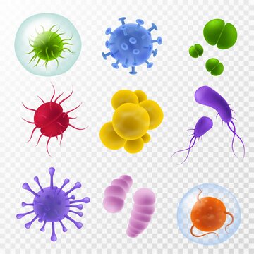 Realistic germs. Microscopic bacillus and infection cells, colorful bacteria and microorganism icon, covid flu viruses collection, human microbiology 3d vector isolated set