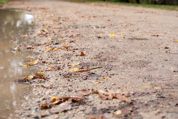 Wet gravel road. Autumn day, weather and season. Wood leaves