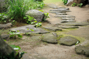 和風庭園の飛び石
