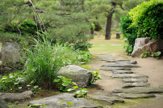 和風庭園images Browse 3 011 Stock Photos Vectors And Video Adobe Stock